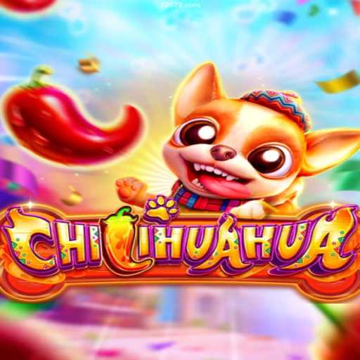 Unveiling CHILIHUAHUA: A Spicy Adventure in Online Gaming